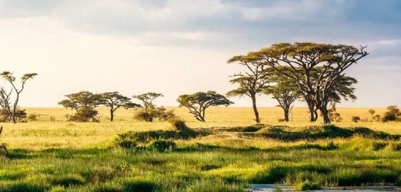 Verre reizen voor senioren